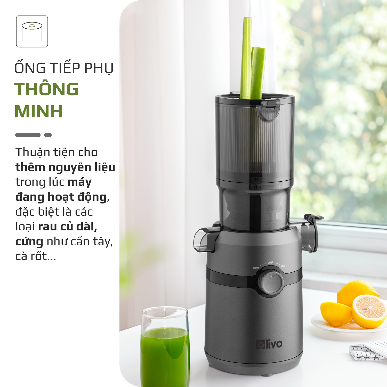 https://dongly.com.vn//Images/Products/nguyen.hung.phong_Artboard-4_item_SJ240.jpg