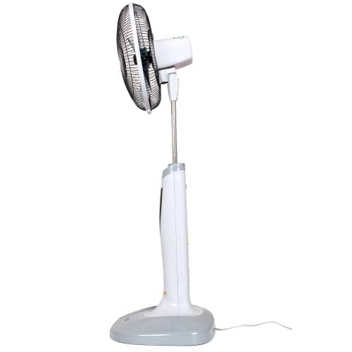 https://dongly.com.vn//Images/Products/nguyen.hung.phong_quat-cay-Benny-BF-49T-grey-02-50_item_QUATBENNYBF-49TGRAY.jpg