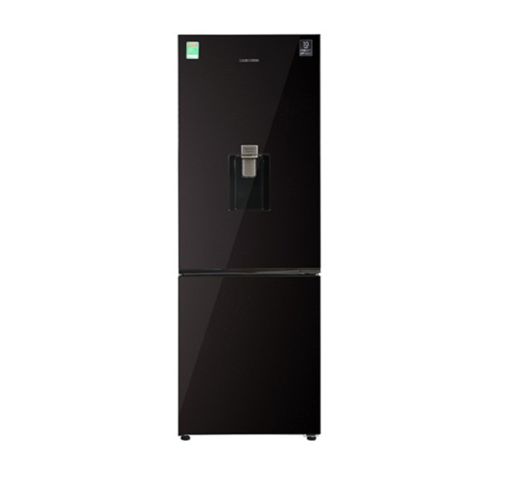 Tủ lạnh Samsung RB30N4190BY/SV (307L- ngăn đá dưới- màu nâu ánh sao)