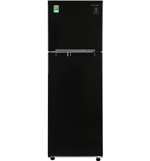 Tủ lạnh Samsung 256L RT25M4032BU/SV