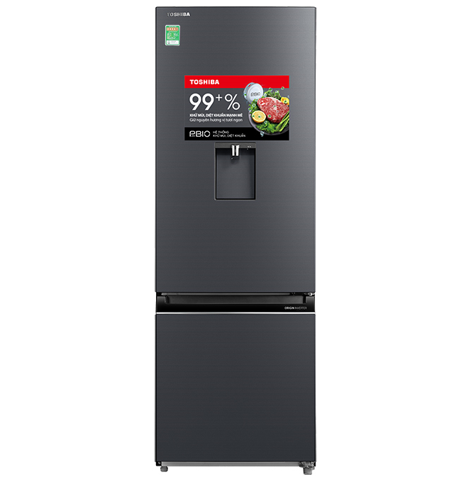 Tủ lạnh Toshiba GR-RB405WE-PMV(06)-MG (322L)