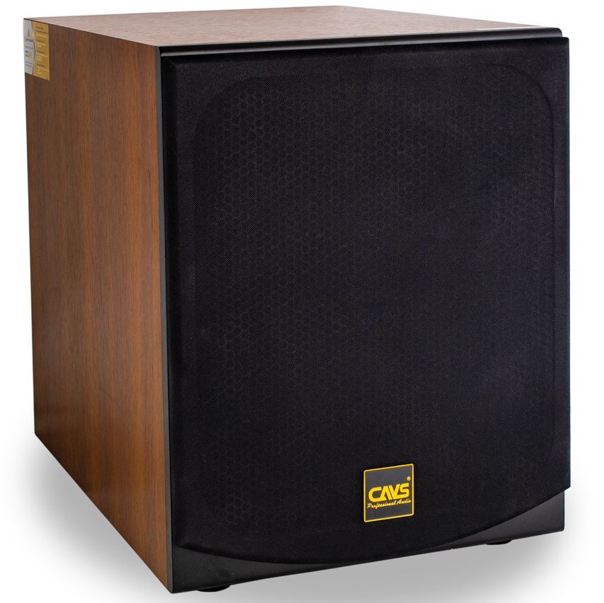 Loa siêu trầm CAVS Subwoofer 450E